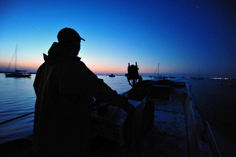 Fileyeur arcachon a5.JPG